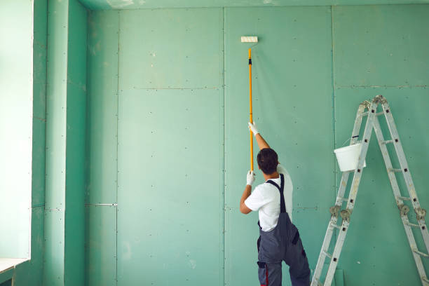 Best Attic Mold Removal  in Cotter, AR