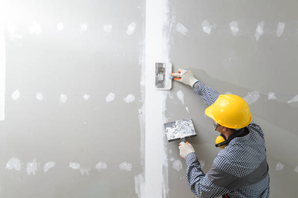 Best Black Mold Removal  in Cotter, AR