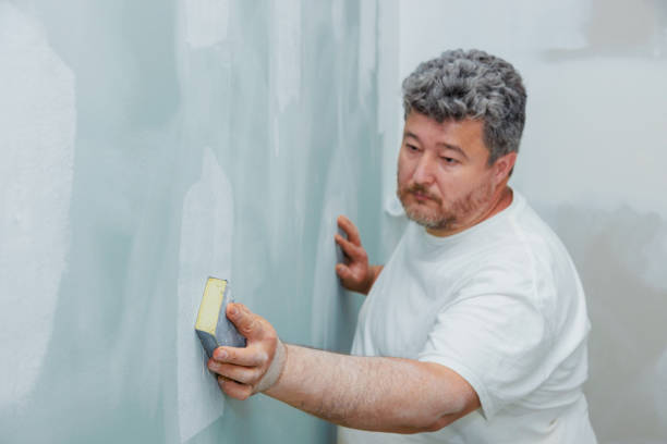 Mold Documentation for Insurance Claims in Cotter, AR